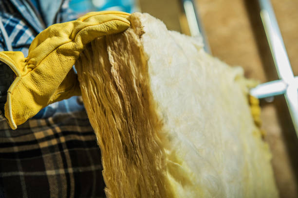 Best Insulation Repair Services  in Palmetto, FL