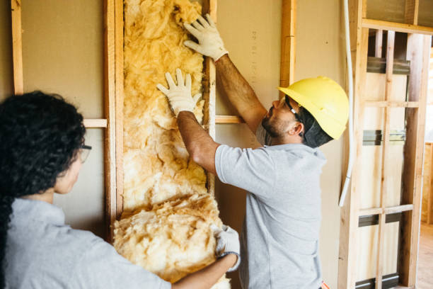 Best Soundproof Insulation Installation  in Palmetto, FL