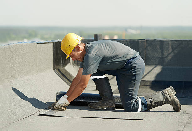 Best Insulation Contractor Near Me  in Palmetto, FL