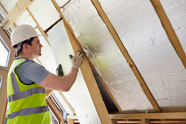 Best Insulation Removal  in Palmetto, FL
