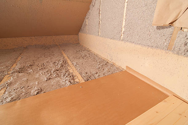 Best Wall Insulation Contractor  in Palmetto, FL